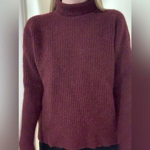 Madewell Burgundy Turtle Neck Merino Wool Sweater